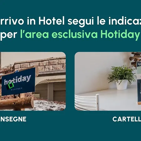 Hotiday Collection - *